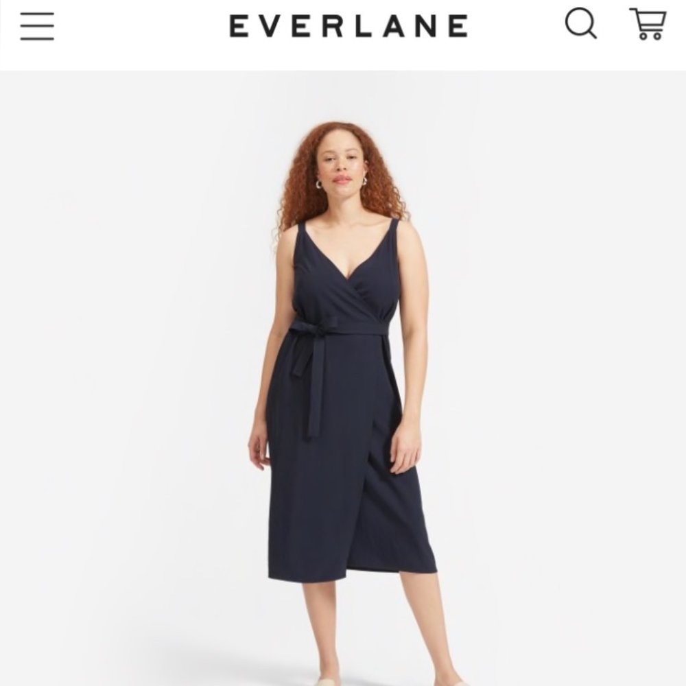 Everlane Japanese GoWeave Wrap Dress